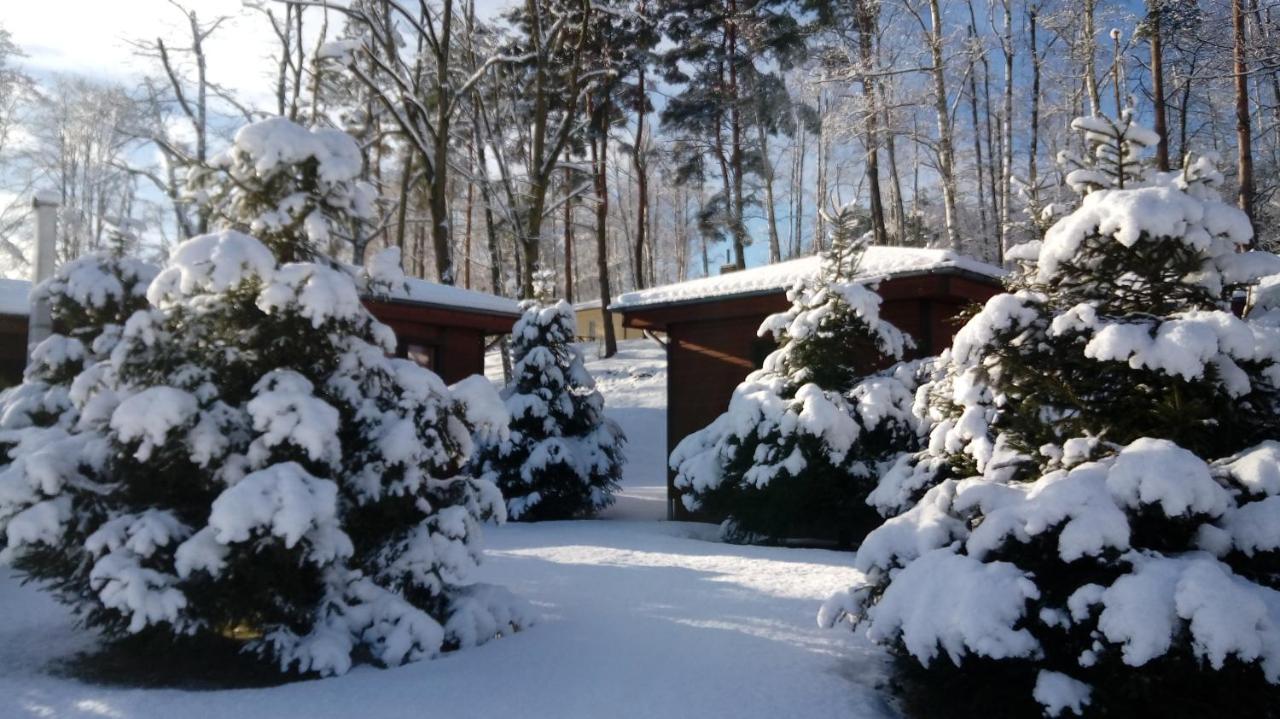 Lake Park Lagow Exterior foto